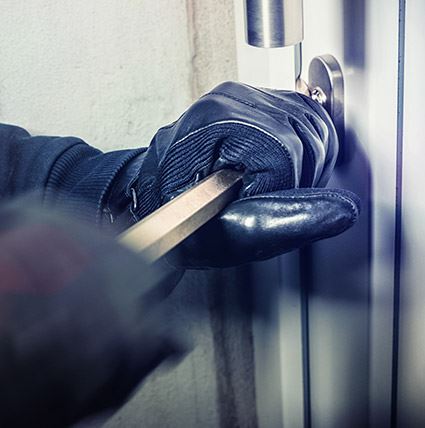 Property Crimes